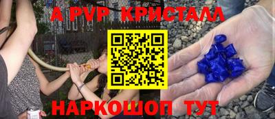 СК Новокубанск