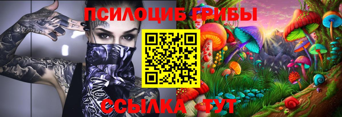 Наро-Фоминск  Галлюциногенные грибы Magic Shrooms  Псилоцибиновые грибы Psilocybe  Вход с VPN 